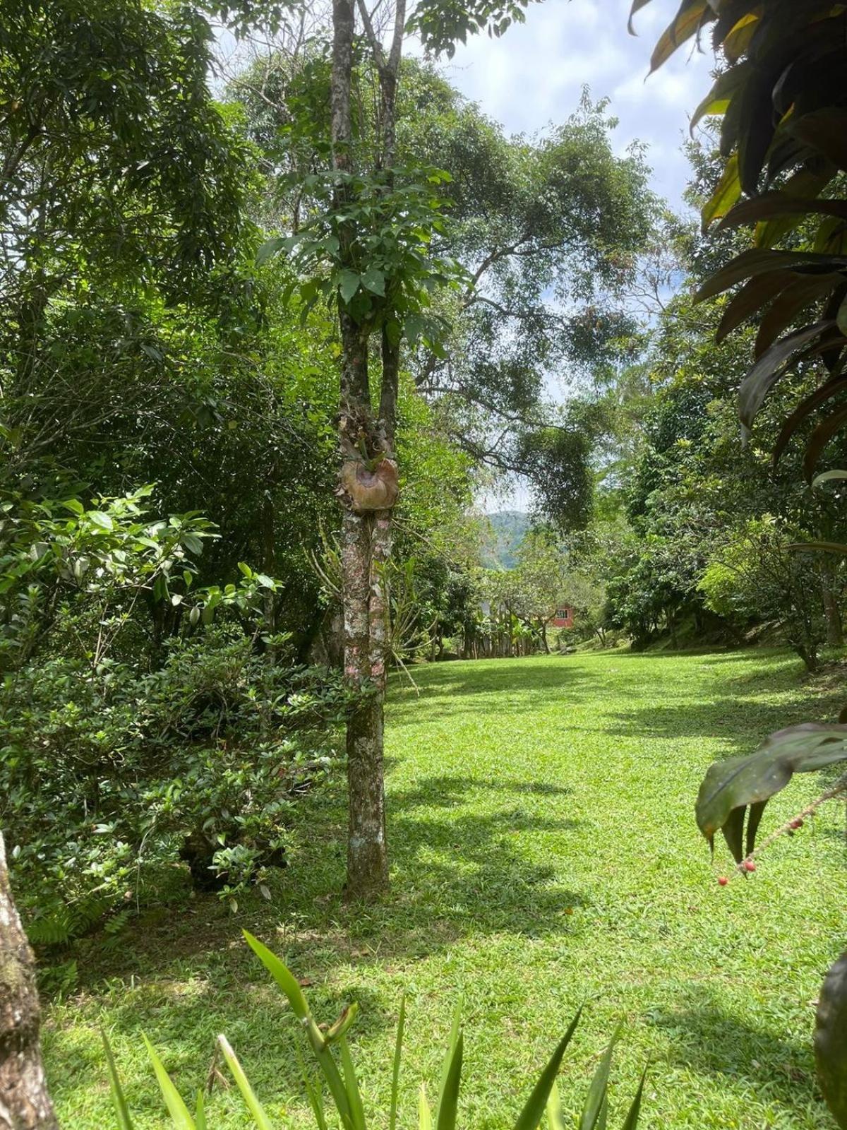 הוילה Chacara Da Liberdade Serra De Macae-Bicuda Pequena מראה חיצוני תמונה